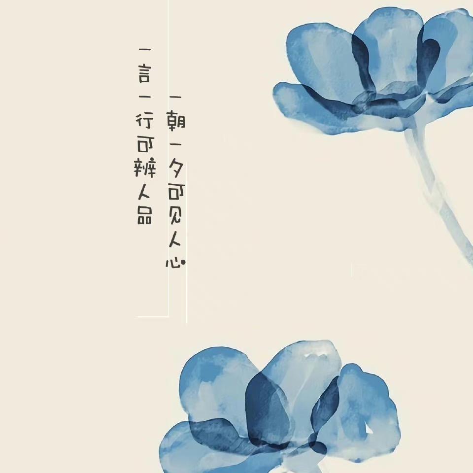 胖晓豆