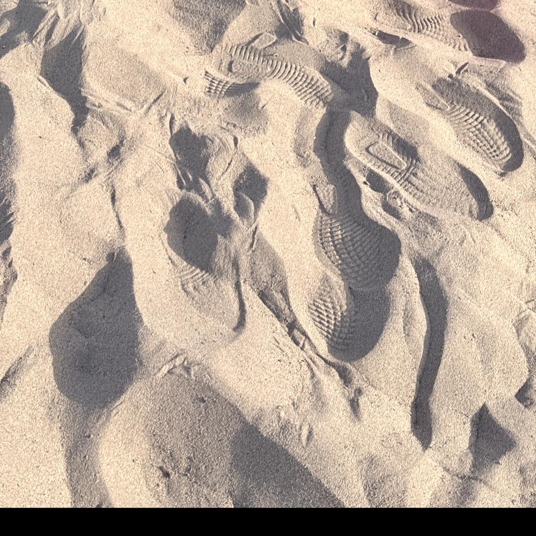 画