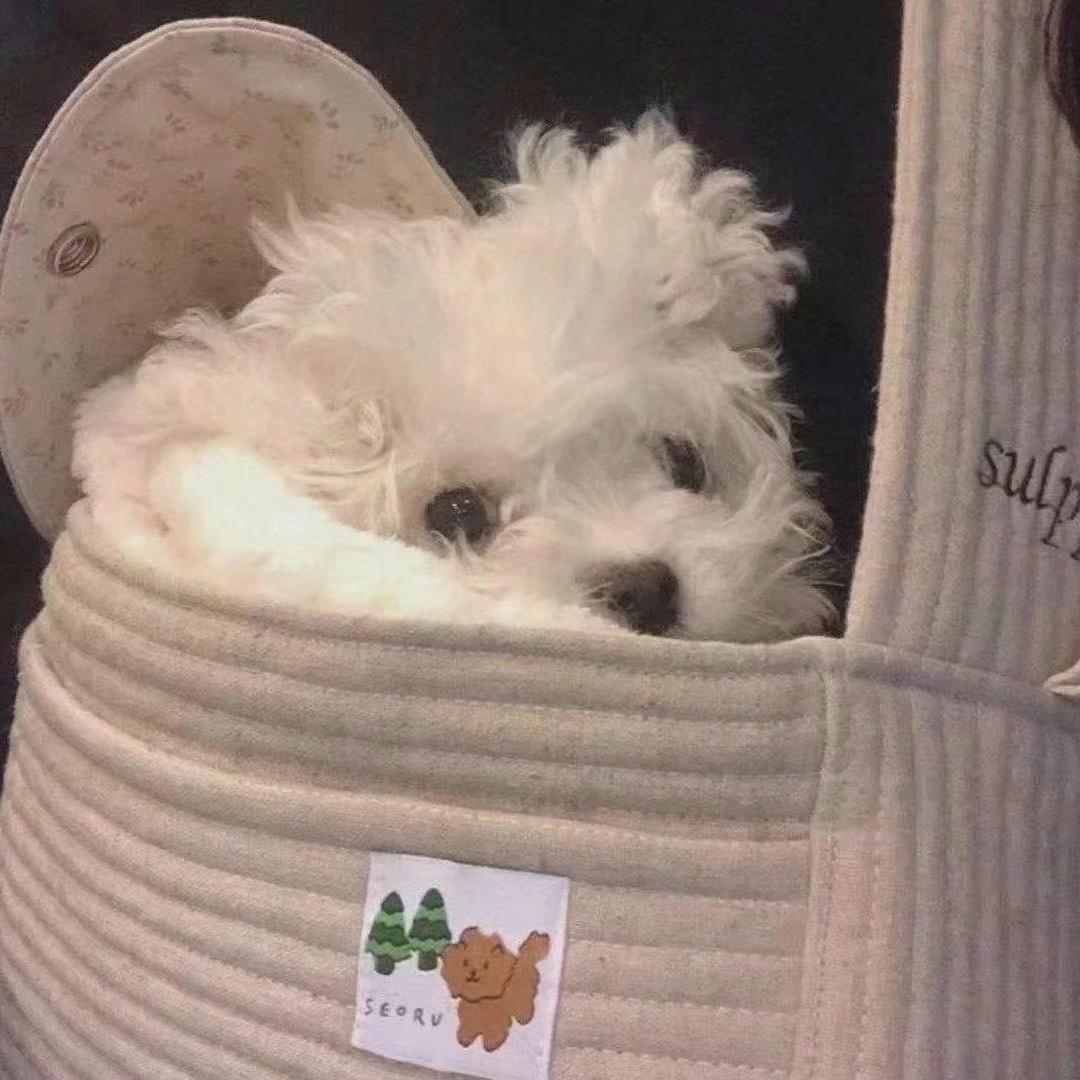 樂zzzz