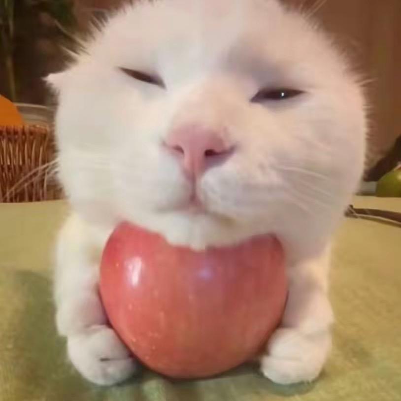 🙊.