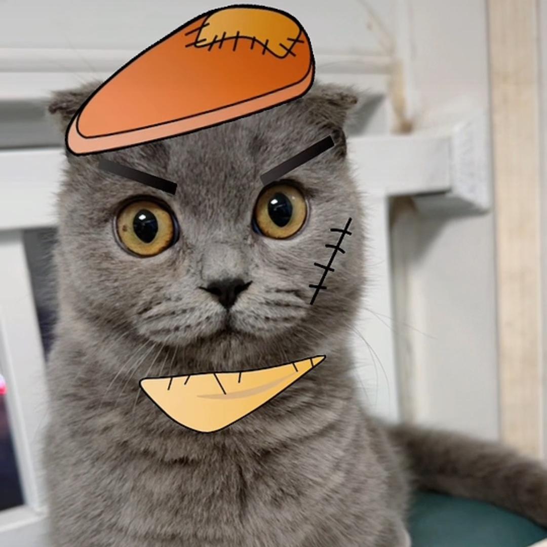 今天又是爱菜菜的一天