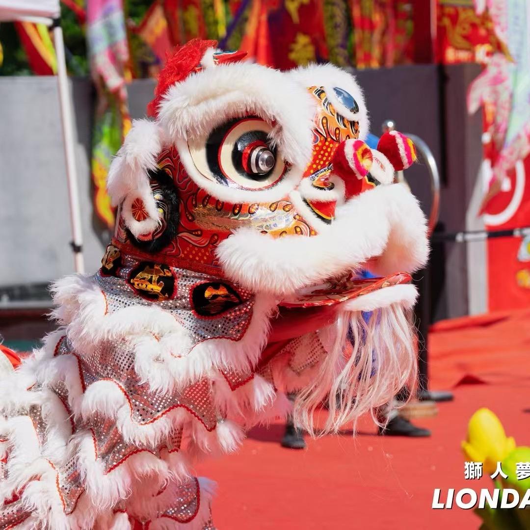 小琦不会打锣🦁