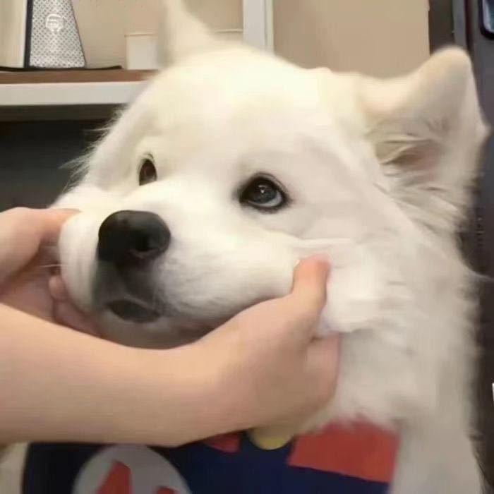 叫我懒大王！