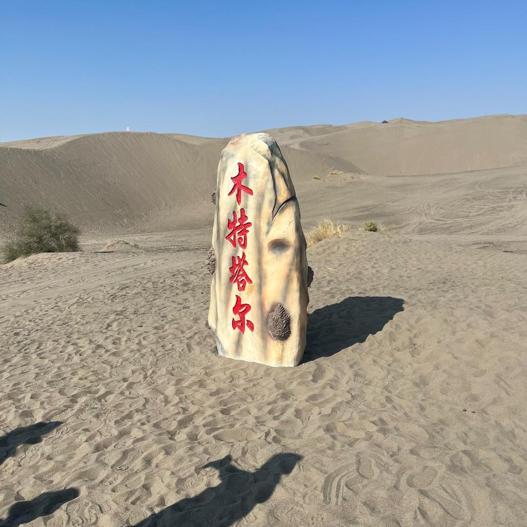 桑梓