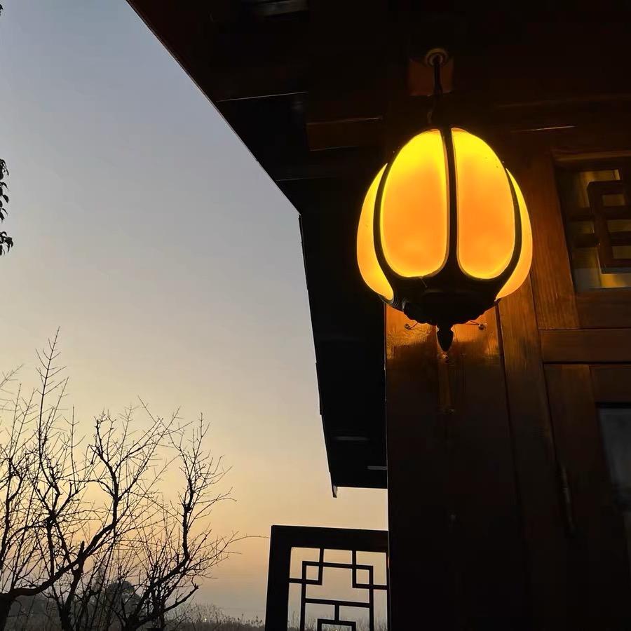 老张家吖