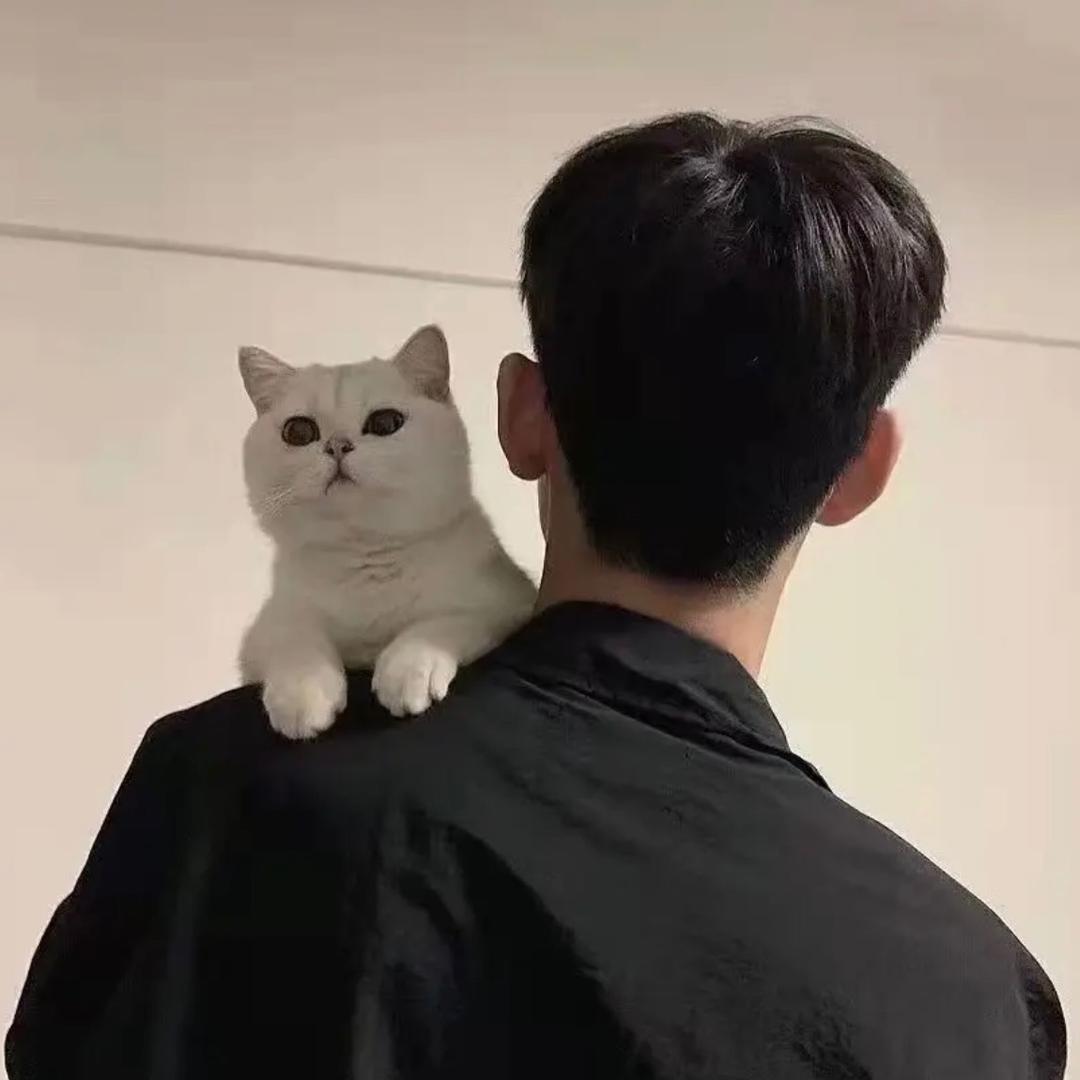 夜