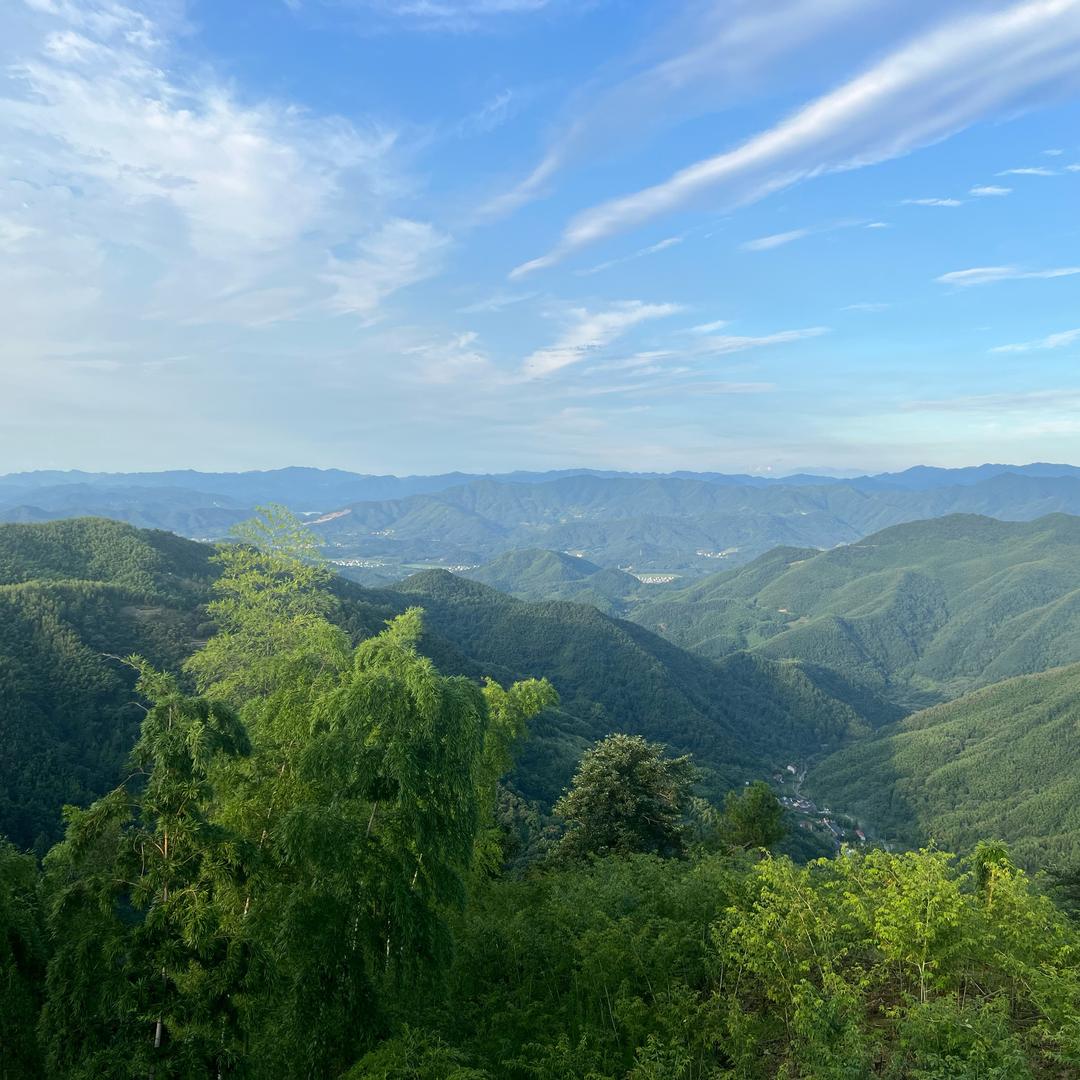 王小漠