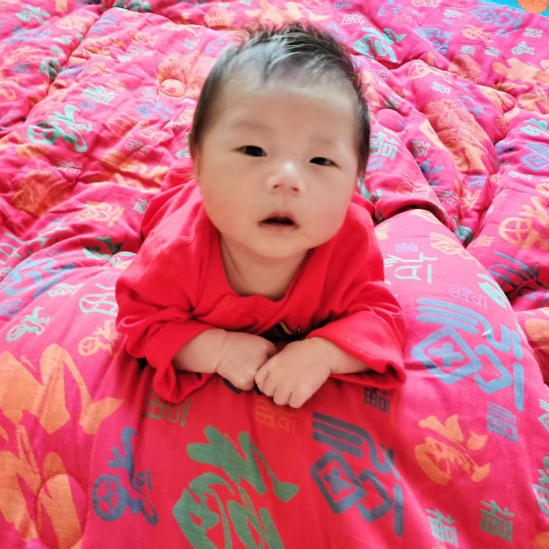 凤姐－⁵¹¹（带娃版）