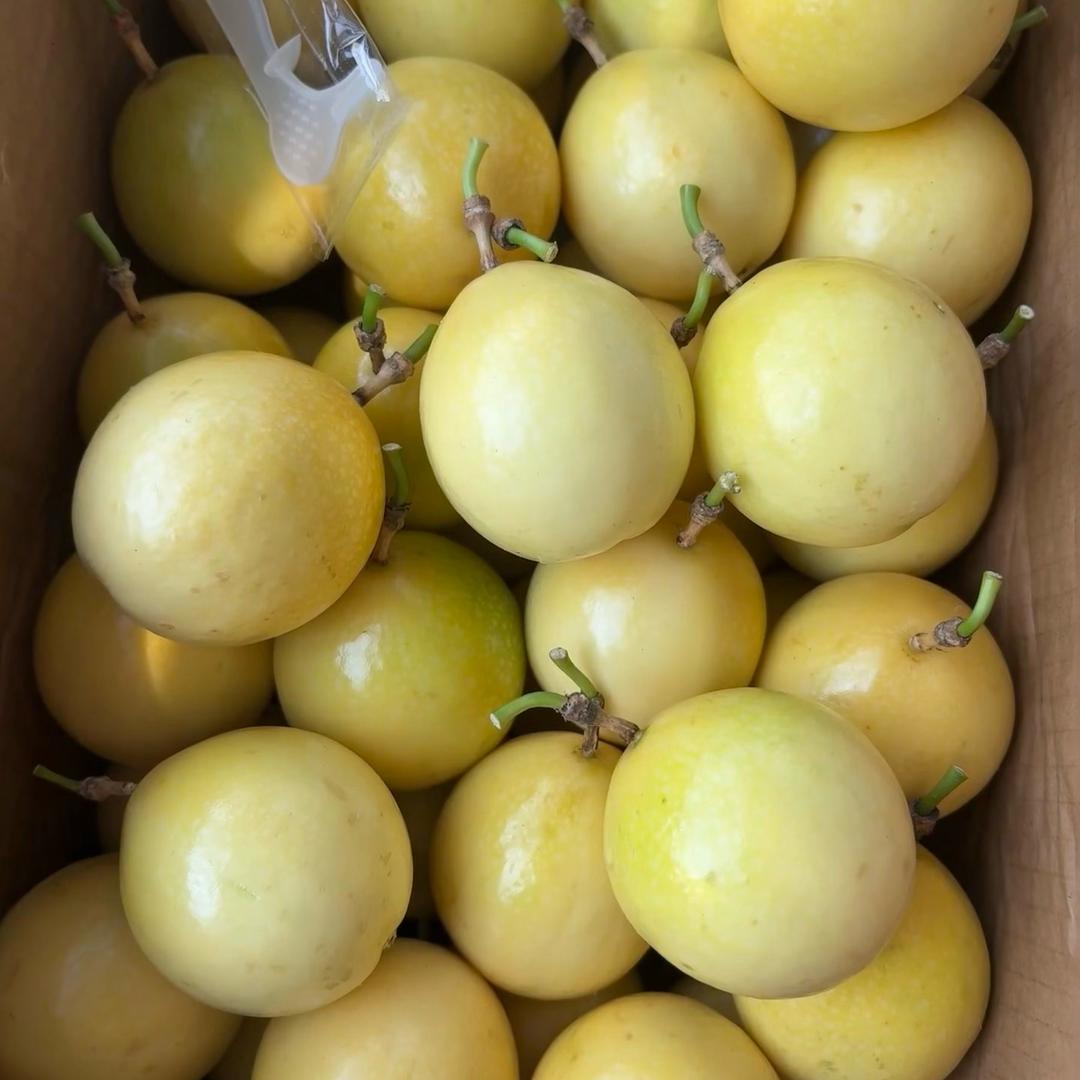 优优百香果精选