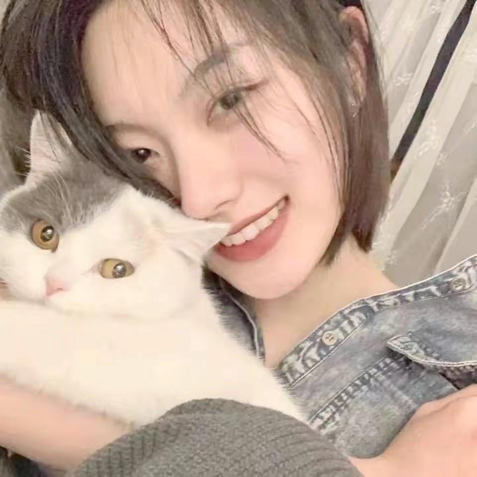 迷途的鹿