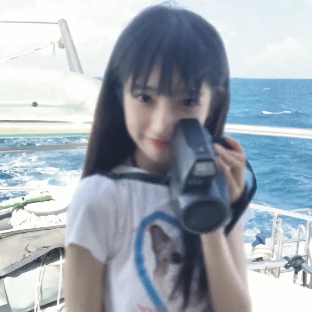 房东的猫、