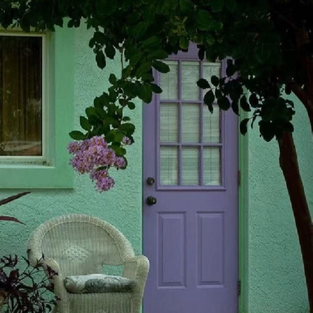 晴天和菜菜的小窝