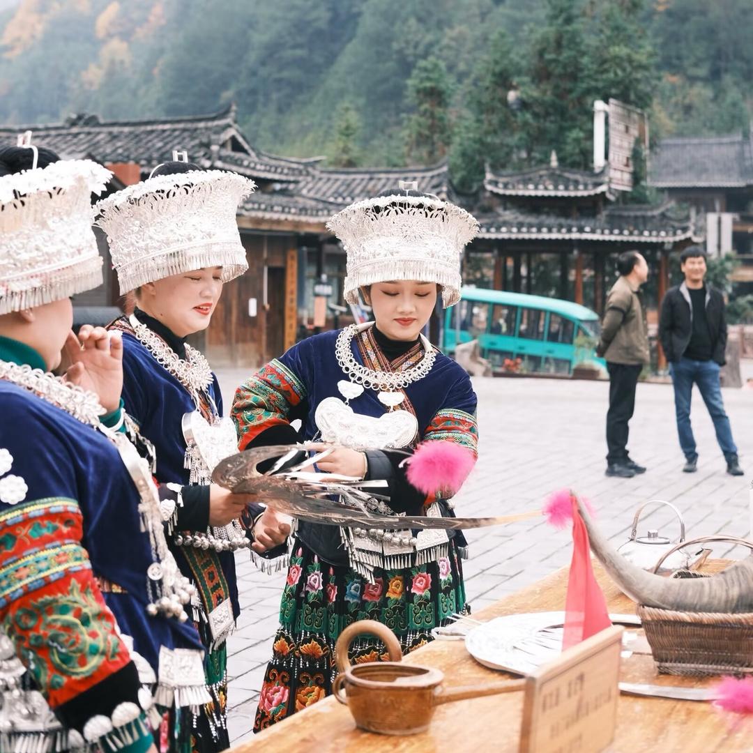 鸽子爱旅行(贵州旅游)