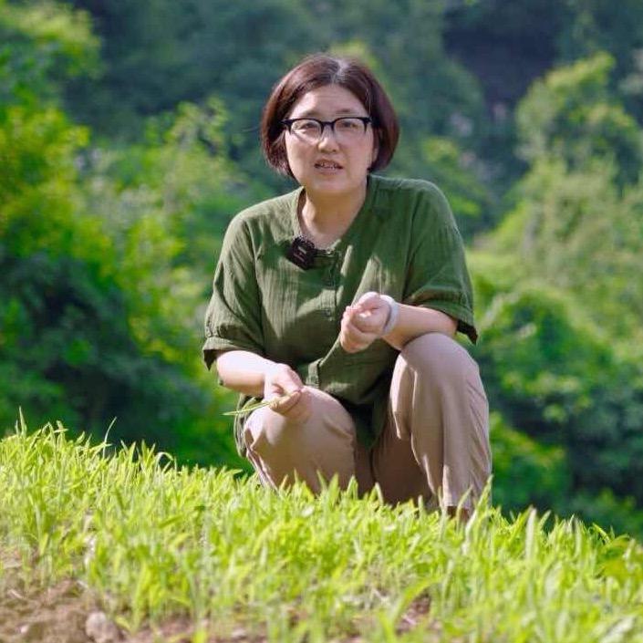 杨会英