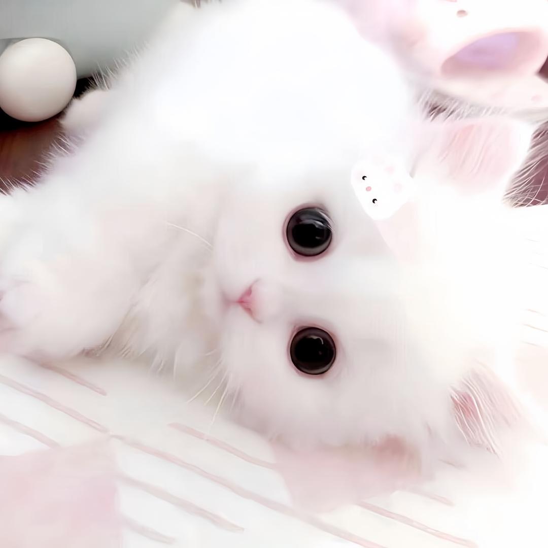 清冷