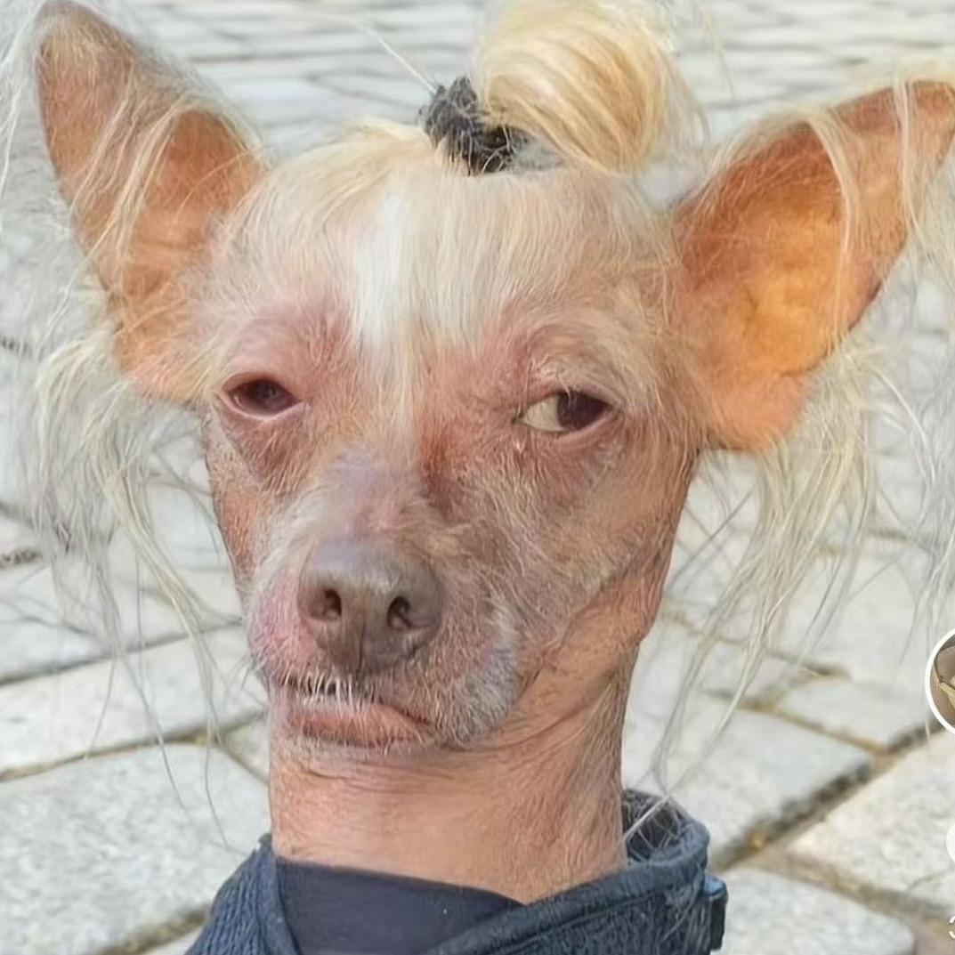 刘老六（半剑half sword）