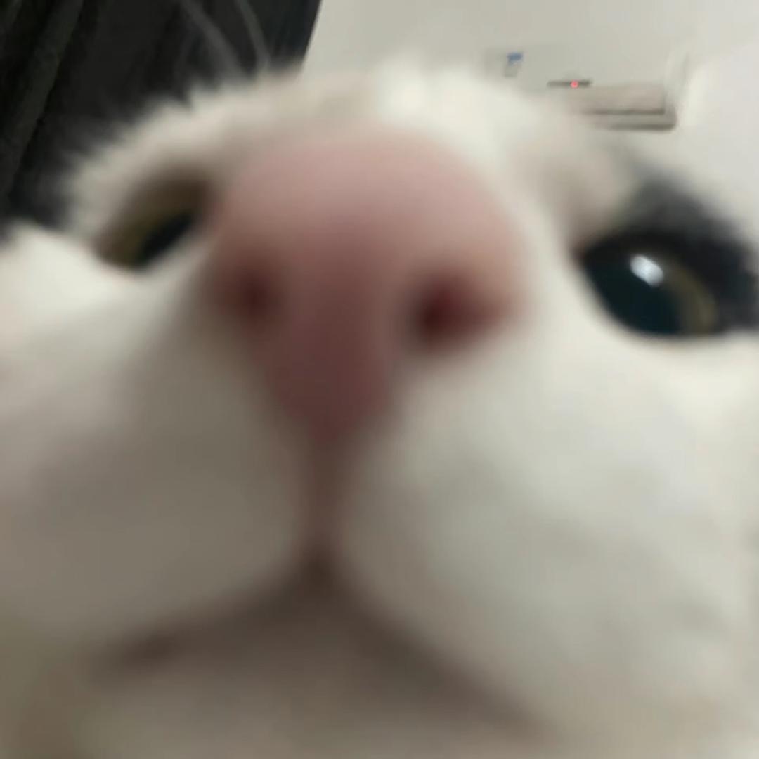 晚安小檬