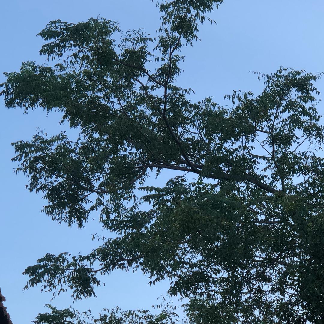 罗洪军+贵州黔南