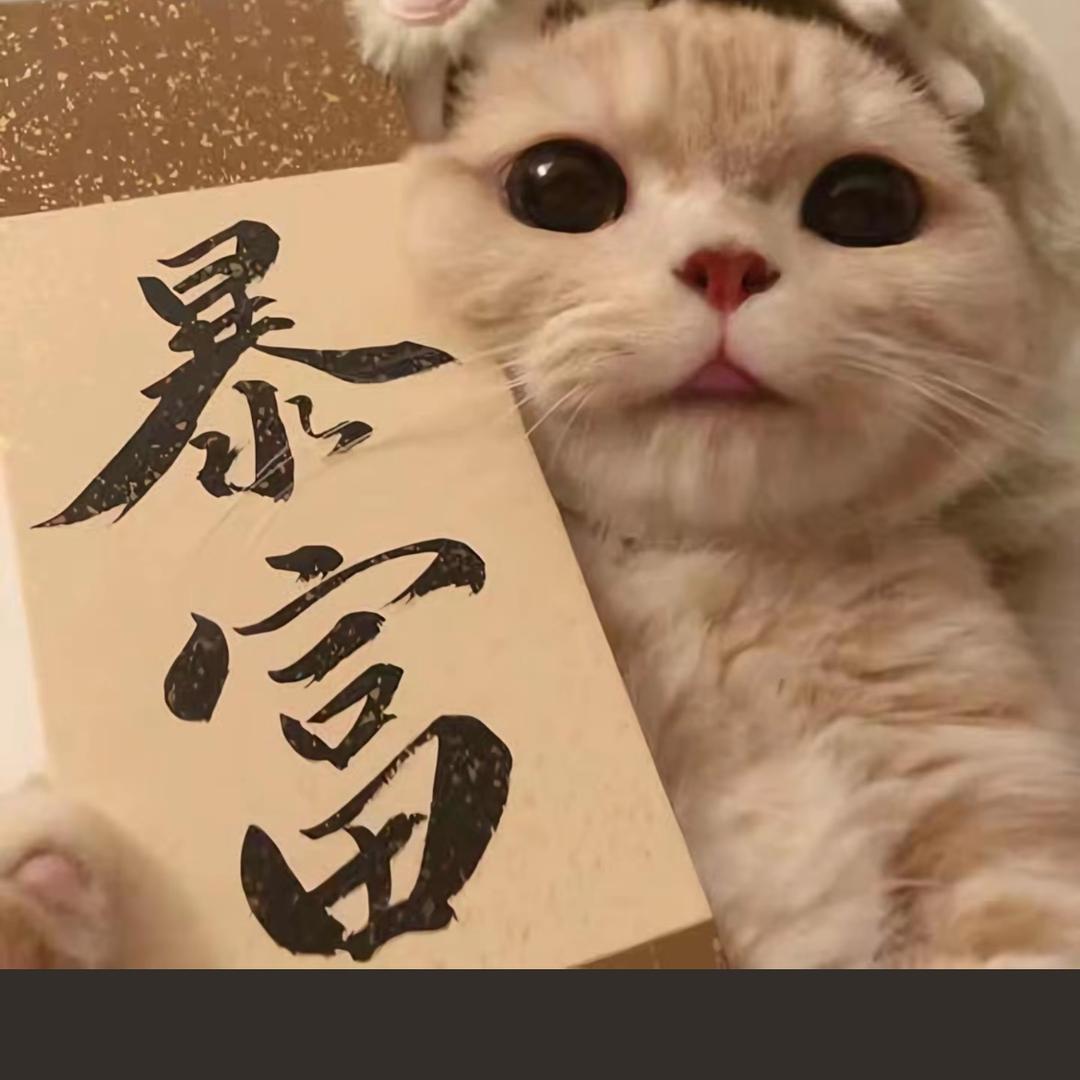 🇨🇳发财