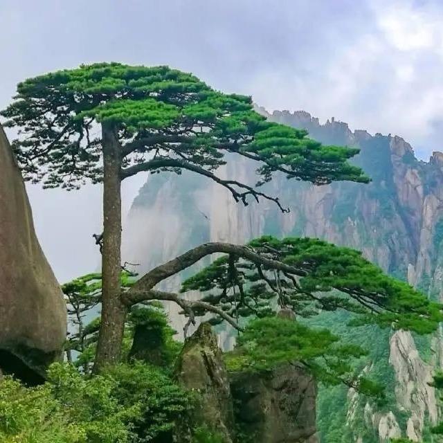 小财满福