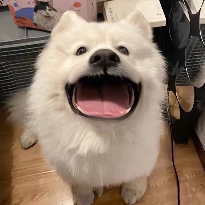 -潇蕊张.