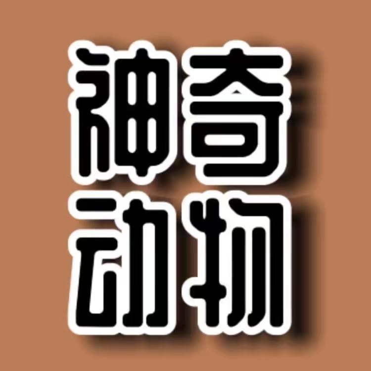 神奇动物