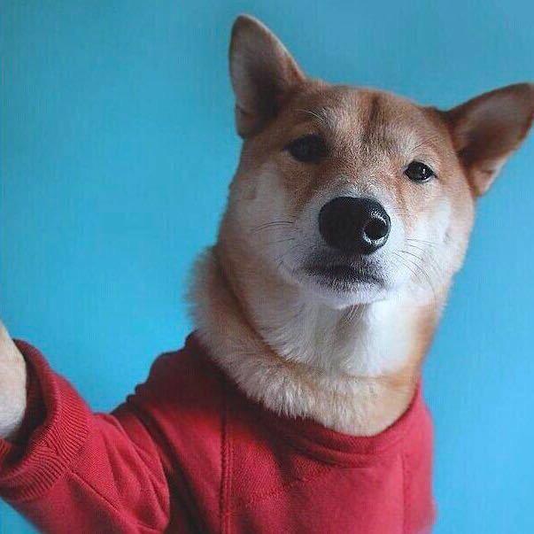 看透。