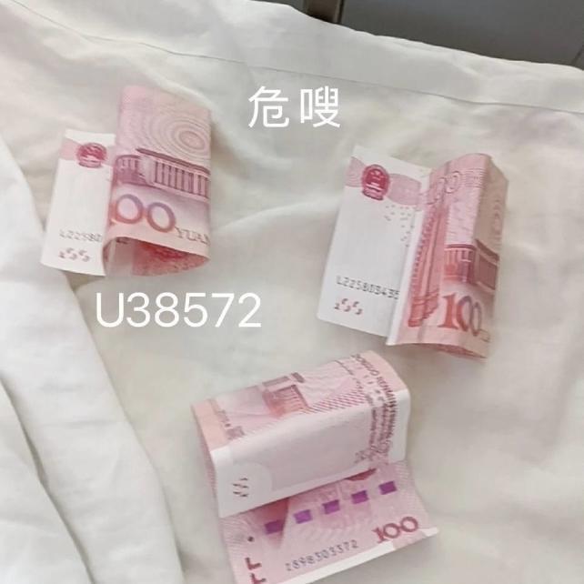 翱翔的brid