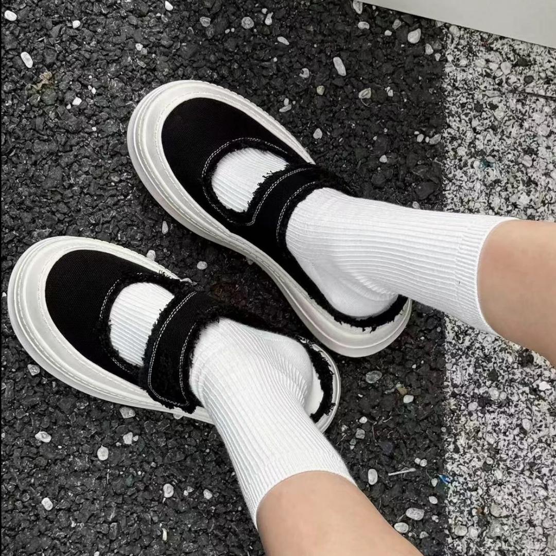 宇乐家3号诗歌兰专场