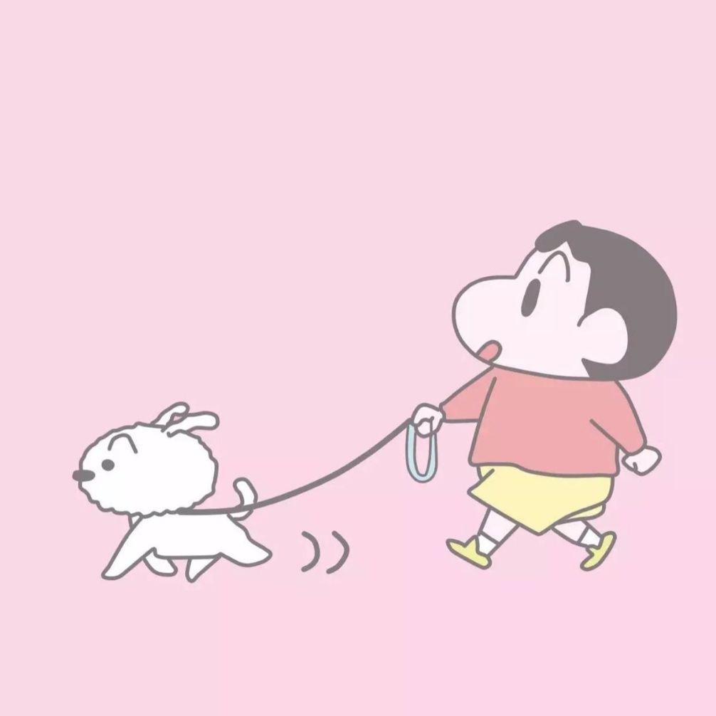 🍭Dear是小赵吖