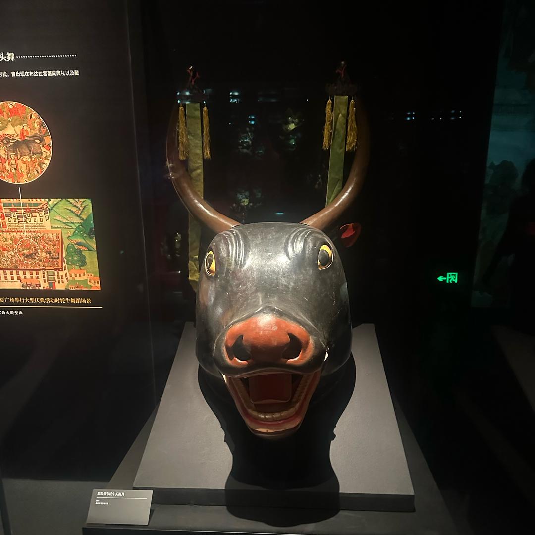 大圣龟来