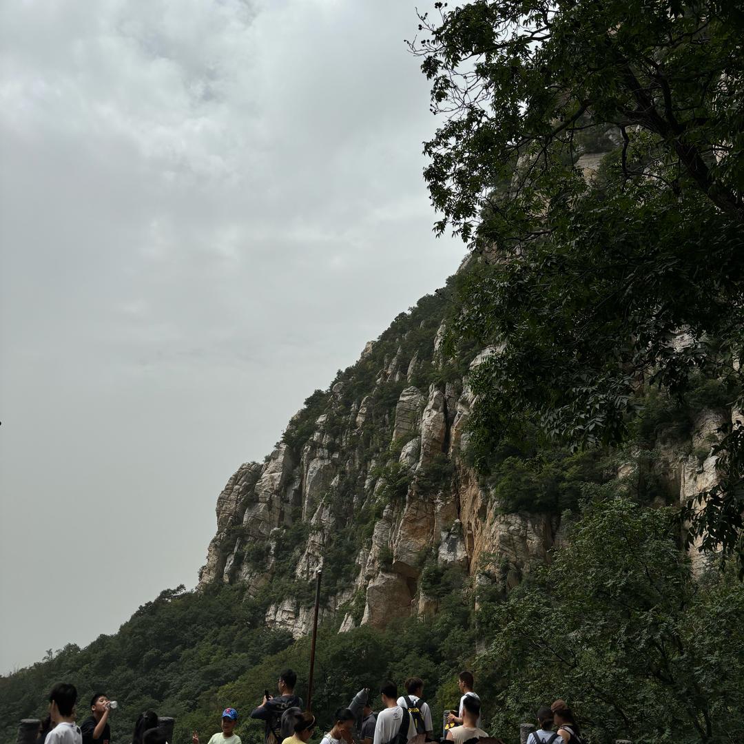 不吃茴香的饺子
