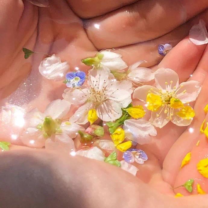 晴瞳看星星✨🔮