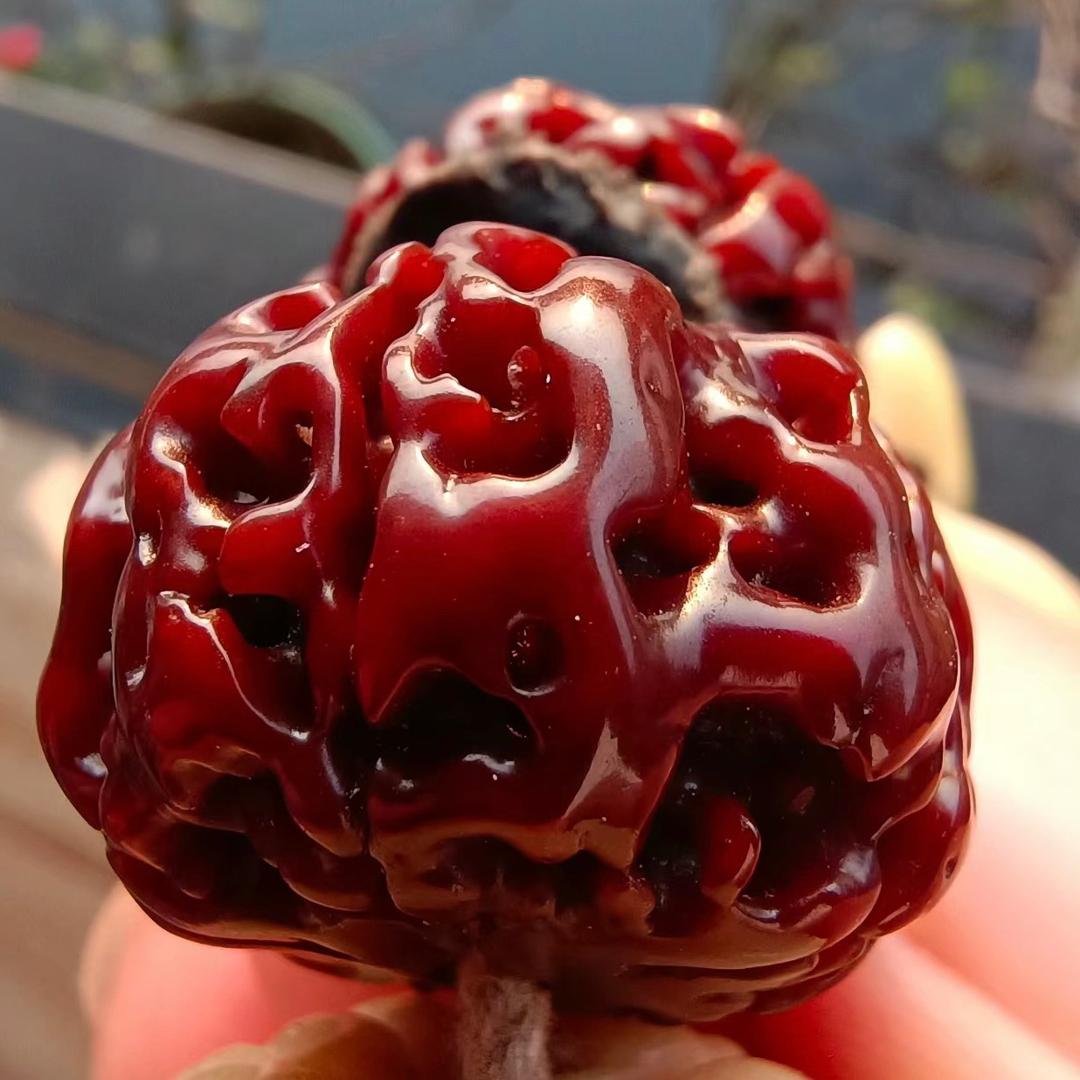 源墨菩提甄选