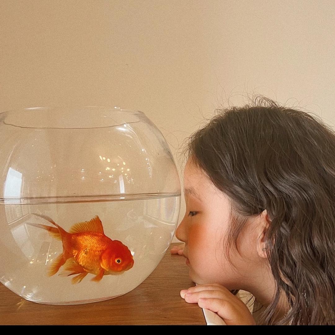 反醒鱼🐟