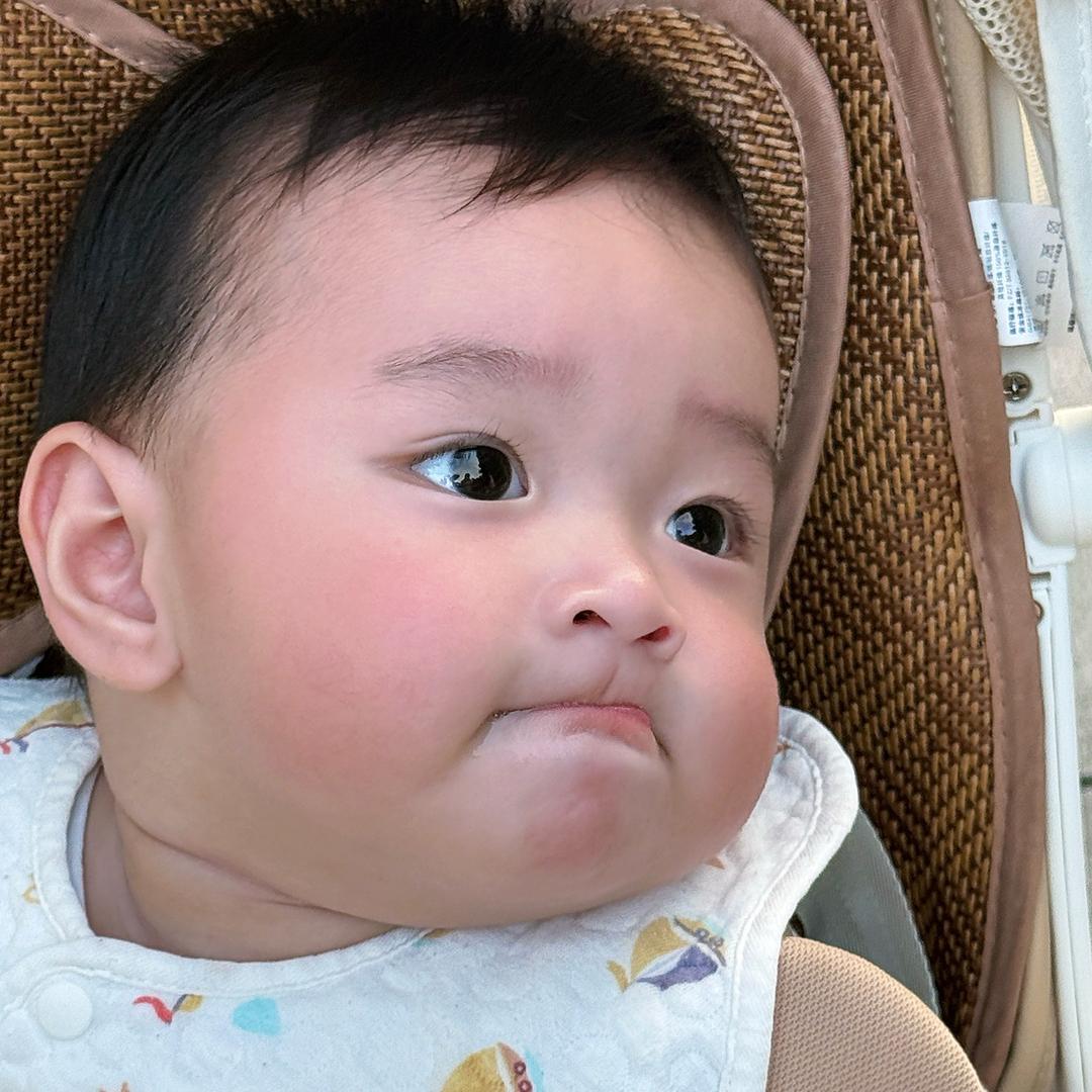 迅猛龙