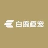 小白牡丹鹦鹉