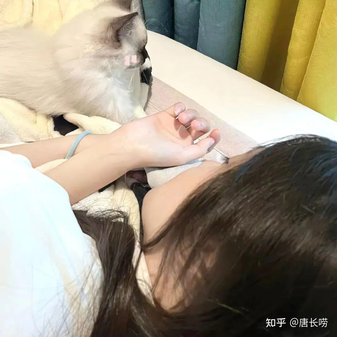 ◔̯◔瞅啥捏捏