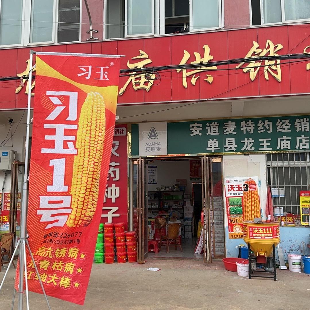 龙王庙供销社