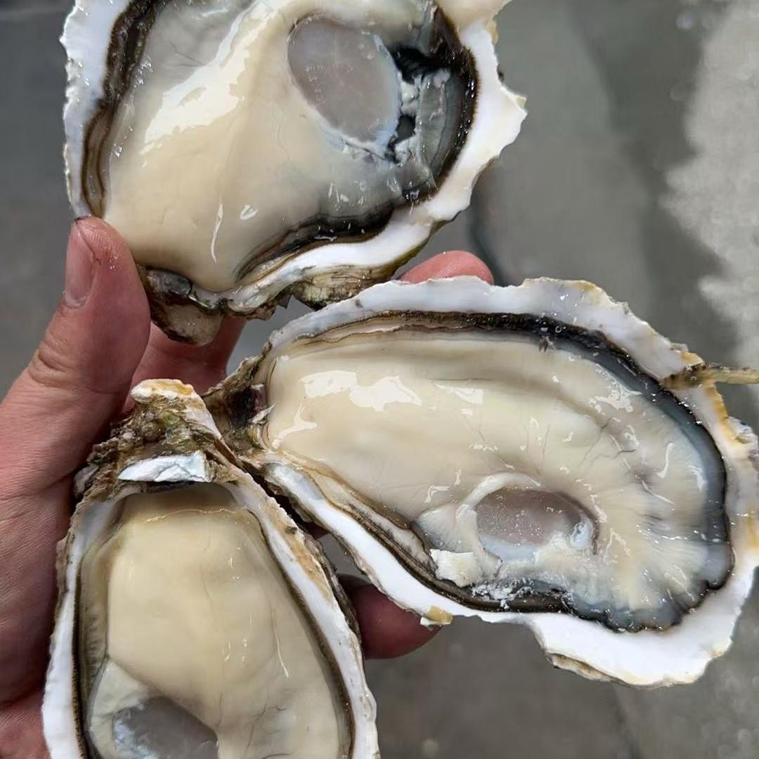 河哥生鲜优选2