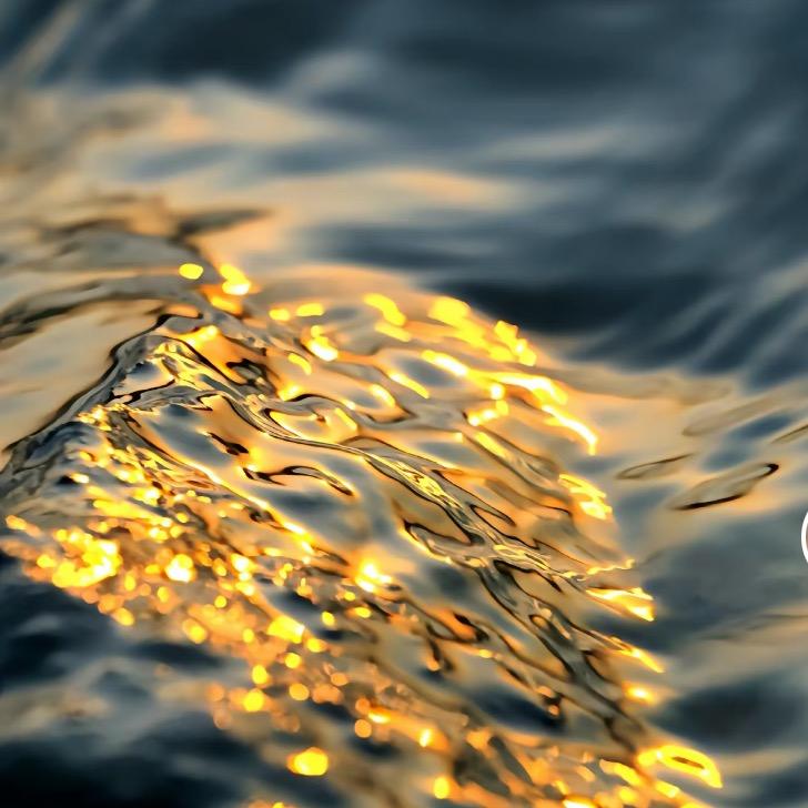 慢吞吞的苗小宅