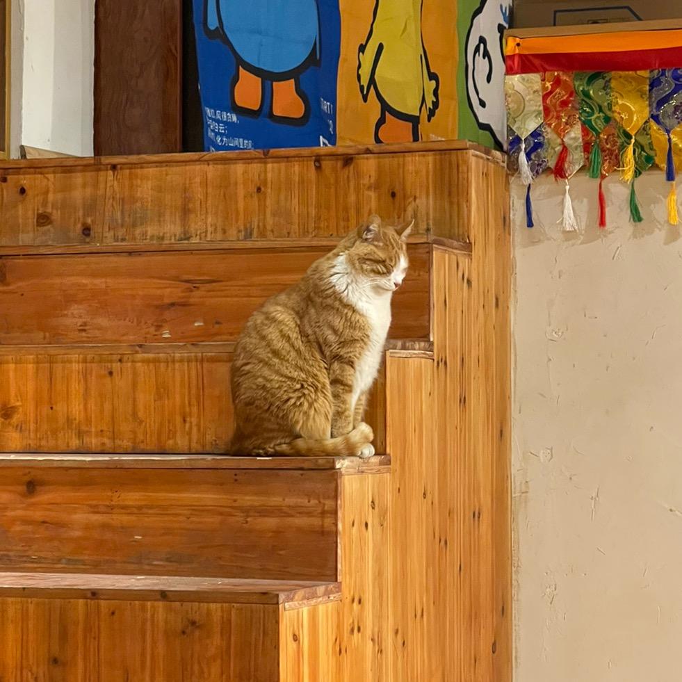 留声唱片机（约拍版）