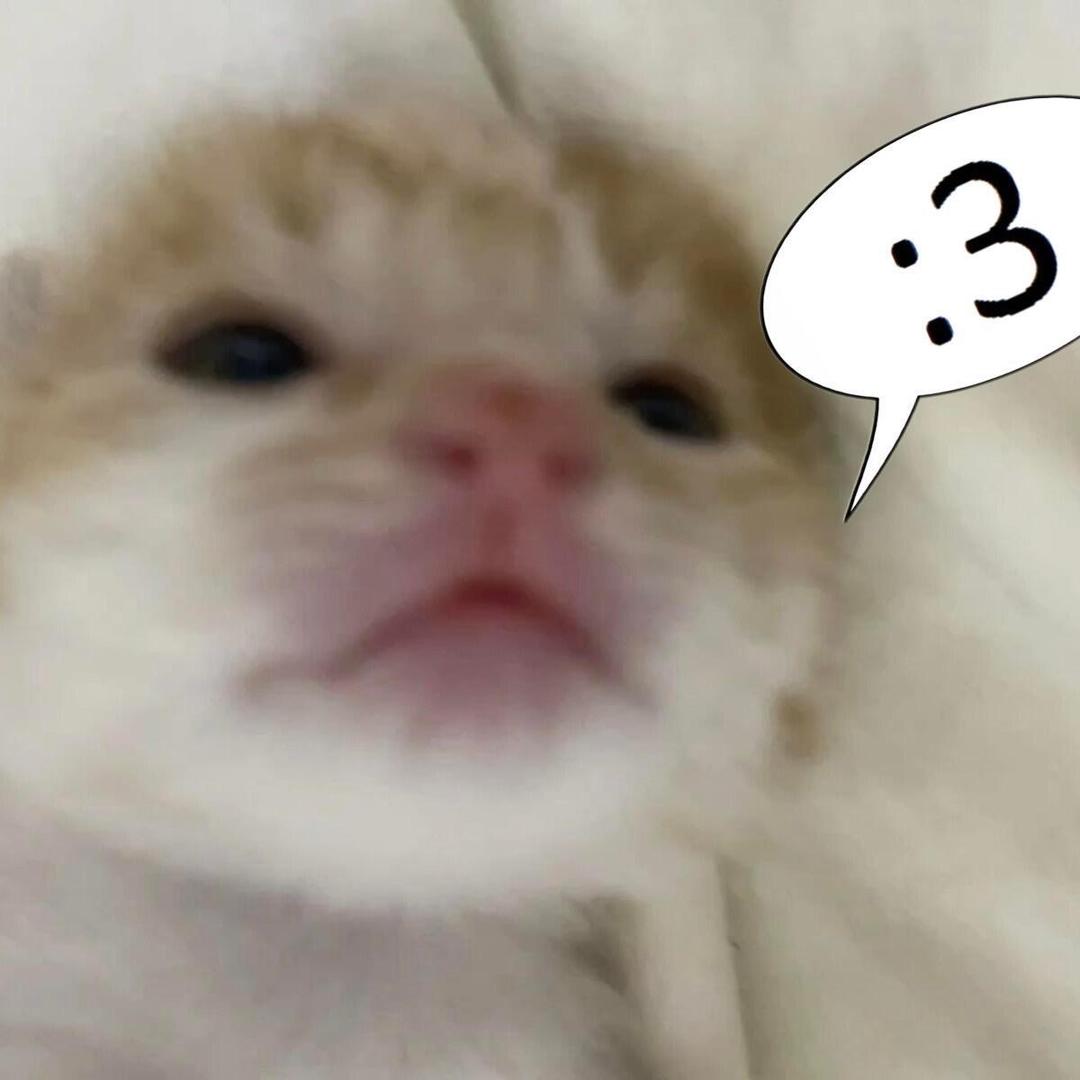 犬