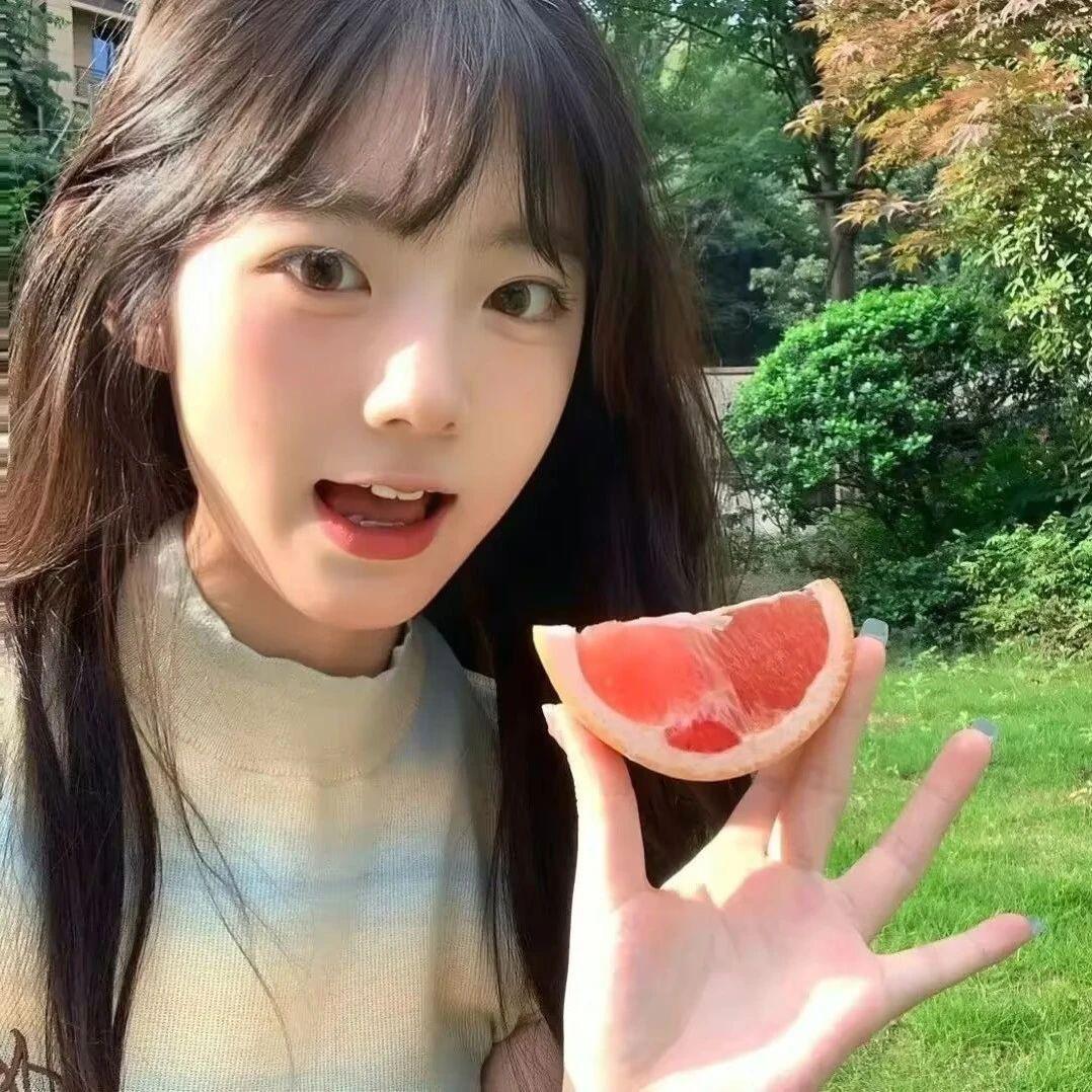 小小绵羊