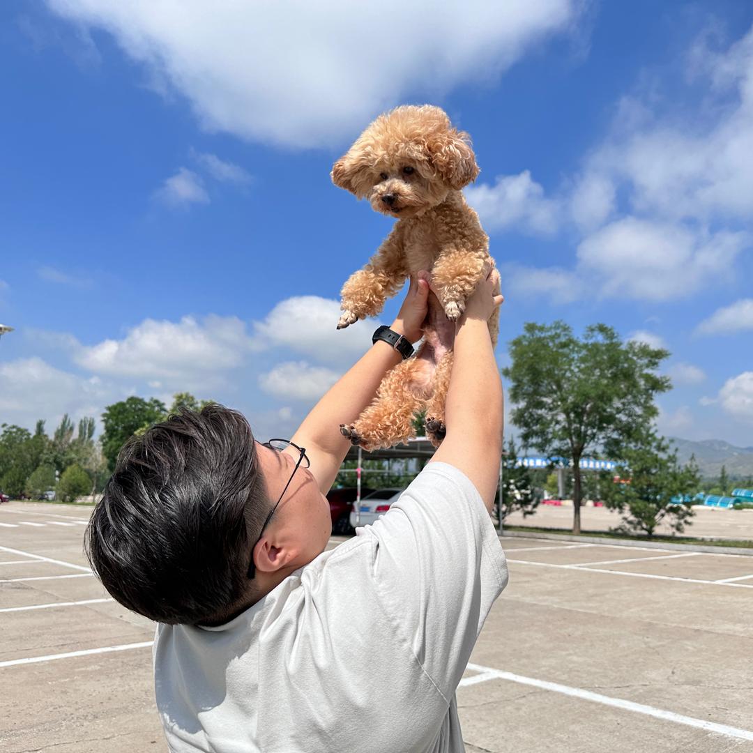 熊先生🐻