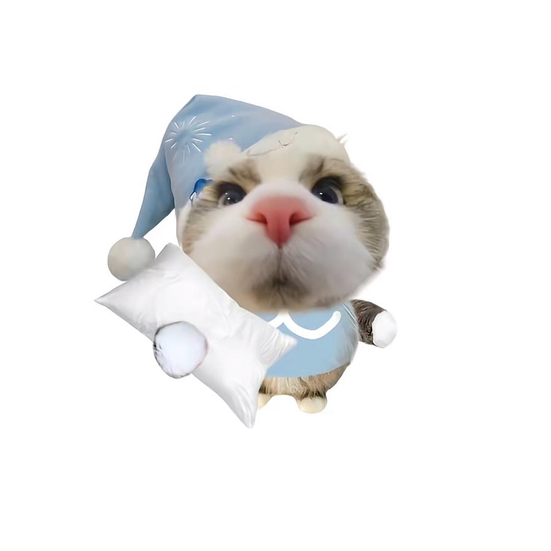 鲤鱼🐟
