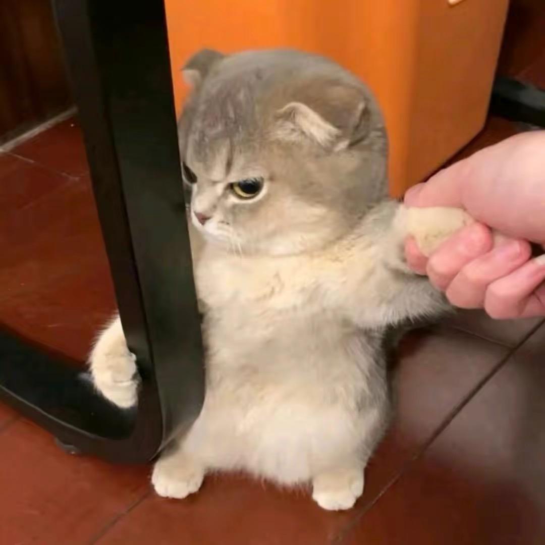 汪云