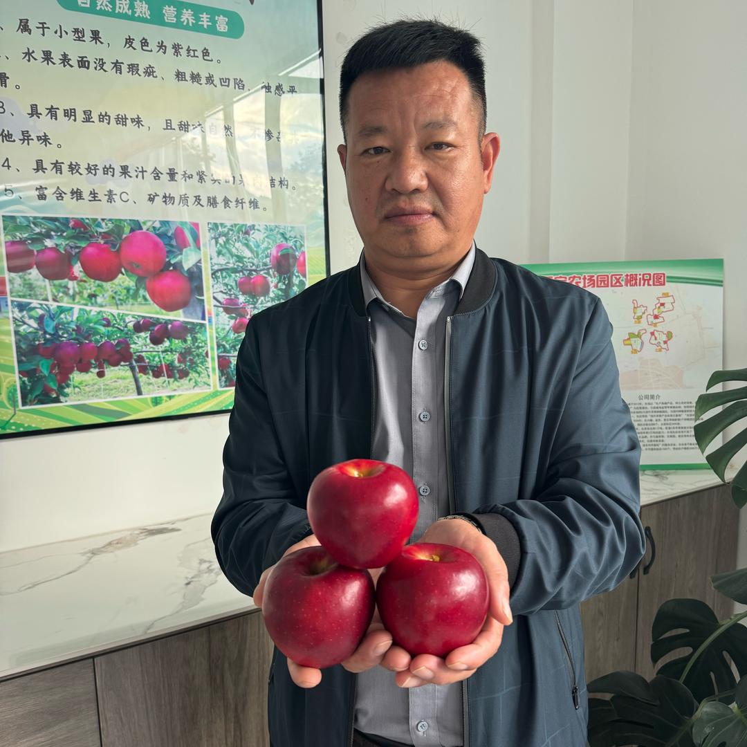 新品种果树🍀🍀农人老周