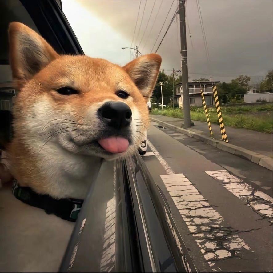 未签收