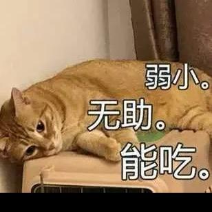 一折